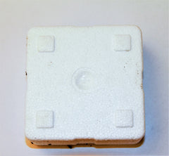 Store Canadiske Regnorm 12 stk.