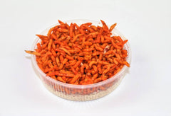 Maddiker Orange 100 ml.