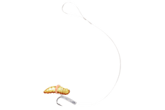 Balzer Special Bienenmaden Kroge