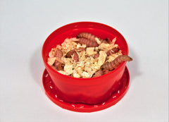 Bienenmaden Rød ca. 30 stk.