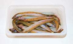 10 pakker – Frosne Tobis á 200 g. inkl. flamingoboks og køleelementer (2 kg) UDSOLGT