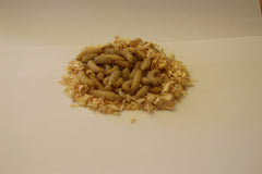 Bienenmaden Hvid ca. 40 stk.