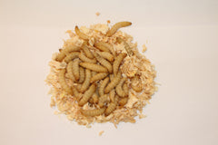 5 pakker Bienenmaden Hvid ca. 40 stk.