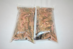 Børsteorm 1 kg i vand.