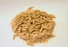 Maddiker Hvid 100 ml.