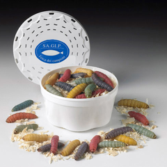 5 pakker Bienenmaden Mix ca. 30 stk.