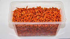 Maddiker Orange 100 ml.