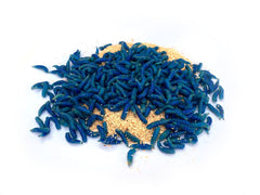 Maddiker Blå – 1 liter